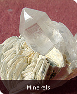 minerals